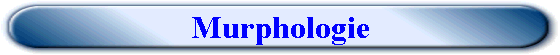 Murphologie