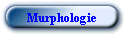 Murphologie